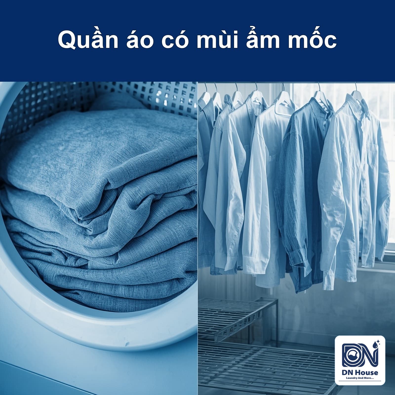 Quần áo có mùi ẩm mốc sau khi giặt: nguyên nhân và cách khử